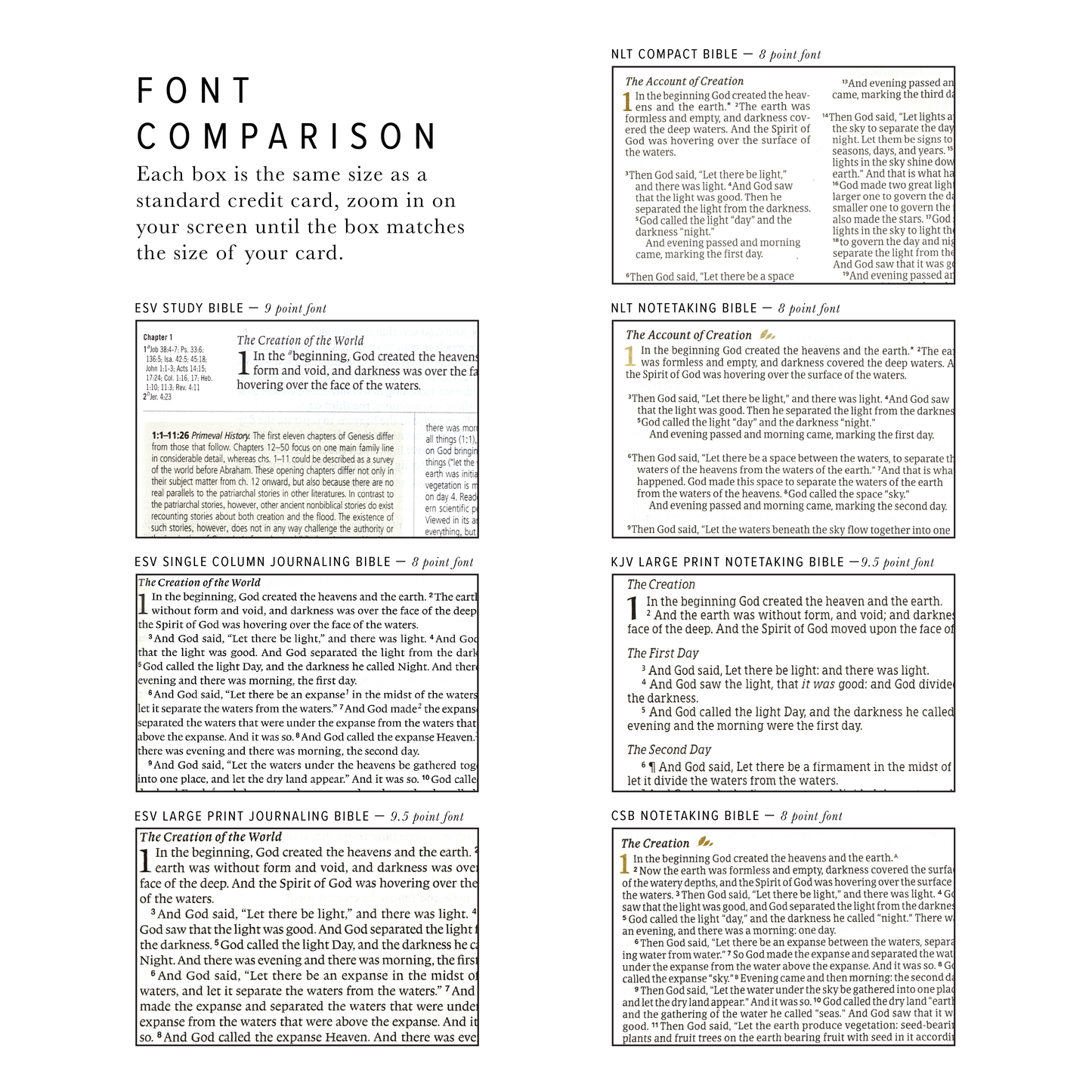 CSB Notetaking Bible: Rosedal Theme