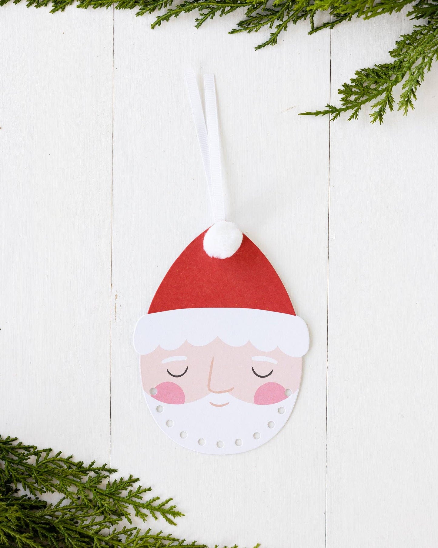 Santa Beard DIY Project Kit